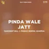 About Pinda Wale Jatt Song